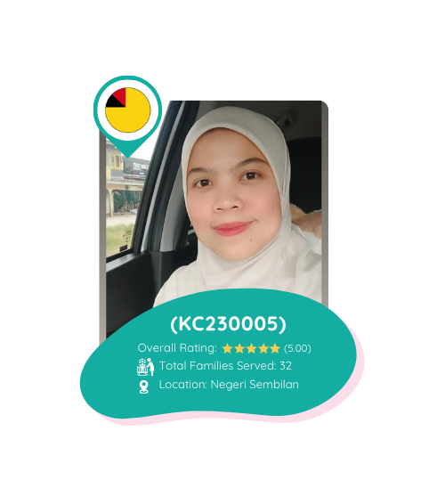 Kiddocarer 2