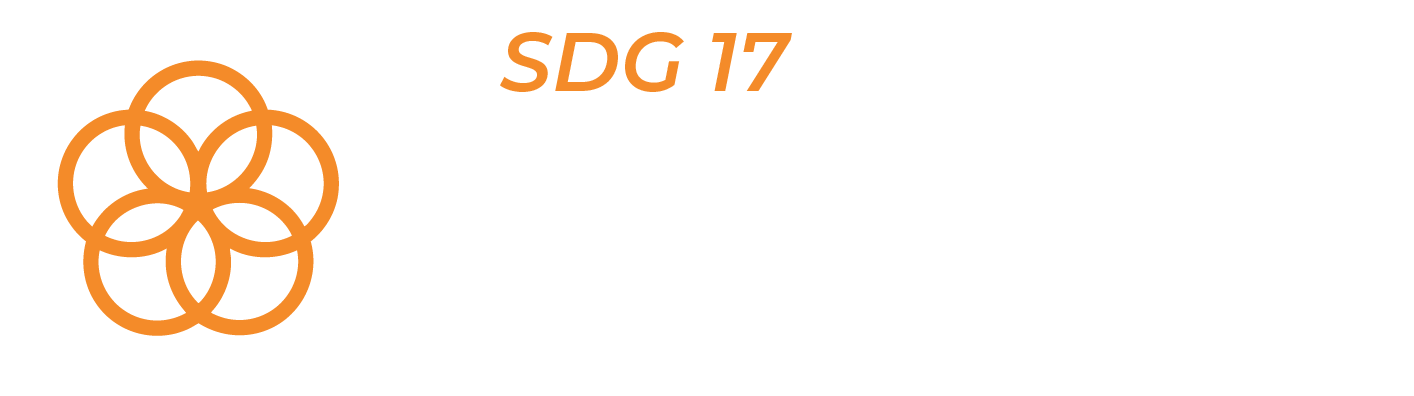 SDG 17 — Partnerships